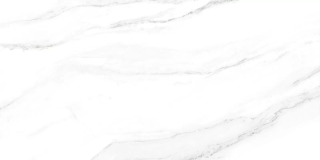 Керамическая плитка Alma Ceramica TWU2550FRC07 облицовочная Фреско / Fresco 249х500
