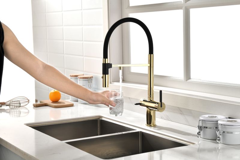 Смеситель для кухни Paulmark Gravity Gr213188-G золото