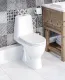 Унитаз-компакт Sanita luxe Max DM белый