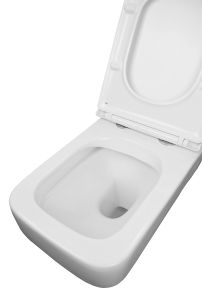 Azario MONEO AZ-0062 унитаз подвесной безободковый с быстросъемным сидением микролифт