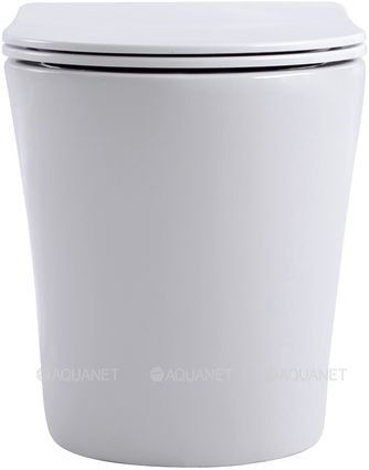 Унитаз приставной Aquanet Rimless Atago 2.0 F LX-1906 243548 белый