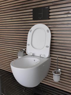 Подвесной унитаз с функцией биде Creavit Free FE322-00MB00E-0000 безободковый белый матовый