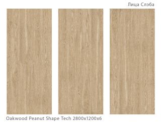 Керамогранит Staro StaroSlabs СЛЭБ УТ-00000263 67235357 Oakwood Peanut Shape Tech 120х280 матовый