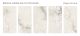 Керамогранит Staro Palacio Brecha  Crema Polished УТ-00000287 75672591 60x120