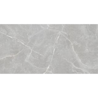 Керамогранит Staro Rizzi Patricia  Grey Matt УТ-00000292 76386031 60x120