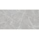 Керамогранит Staro Rizzi Patricia  Grey Matt УТ-00000292 76386031 60x120