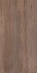 Керамогранит Staro Foresta Amazon Wood Brown УТ-00000582 21638713 60x120