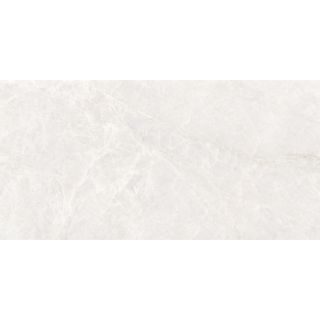 Керамогранит Staro Rizzi Taj  Bianco Polished УТ-00000639 17533657 60x120