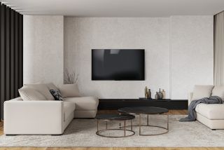 Керамогранит Staro StaroSlabs СЛЭБ УТ-00000884 32213489 Onega Silver Xylotech Matt 120х278 матовый