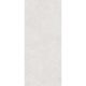 Керамогранит Staro StaroSlabs СЛЭБ УТ-00000884 32213489 Onega Silver Xylotech Matt 120х278 матовый
