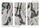 Керамогранит Staro StaroSlabs СЛЭБ УТ-00000966 68417162 Eleganza 160х320 Matt Slab Matt матовый