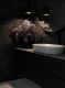Керамогранит Staro Silk Argos Nero sugar УТ-00001083 12430992 60x120