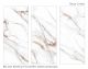 Керамогранит Staro StaroSlabs СЛЭБ УТ-00001120 51054397 Beldia Bianco 120х280 Slab Polished полированный