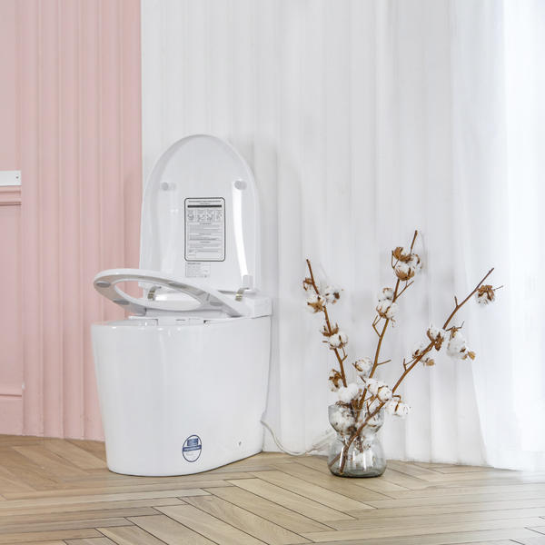 Электронный унитаз-биде Swedbe Smart 0500 белый