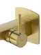 Смеситель для раковины Wonzon & Woghand WW-88869031-1-BG брашированное золото