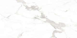 Керамический гранит Azario ЭЛЕГАНТ ГРЕЙ F4110821122G 60х120 глянцевая