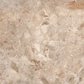 Керамический гранит Azario РЭЙНБОЛ БРАУН P110082160G 60х60 (4шт/уп) глянцевая