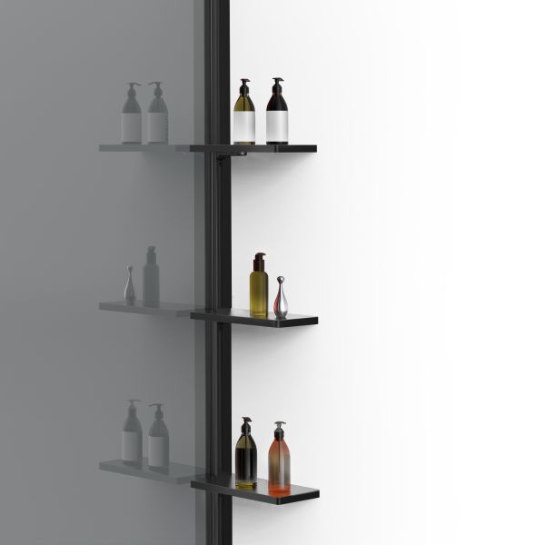 Душевая перегородка Vincea Walk-In VSW-1HWS100CGB, 1000*2000, черный матовый, стекло тонированное