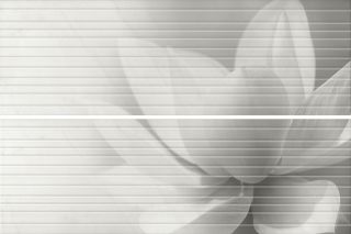 Панно Kerama Marazzi HGD\A200\2x\12102R Борсари матовый (из 2 ч. разм. 25x75) 50x75x0,9