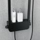 Душевая панель Black & White Seasons W1010