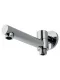 Носик с дивертором Wonzon & Woghand WW-88SZ10-CR хром