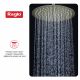 Верхний душ Raglo R451.56.03 золотой сатин