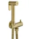 Гигиенический душ Wonzon & Woghand WW-88809903-BG брашированное золото