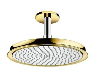 Верхний душ Hansgrohe Raindance Classic 27405090 Хром Золото