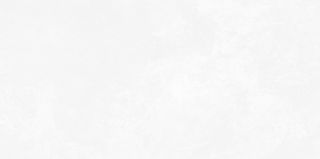 Керамическая плитка настенная AltaCera Антре белый / Antre White WT9ANR00 249x500х8.5 глянцевая