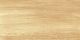 Керамическая плитка настенная AltaCera Парадайс Вуд / Paradise Wood WT9OAS31 250x500х9 глянцевая