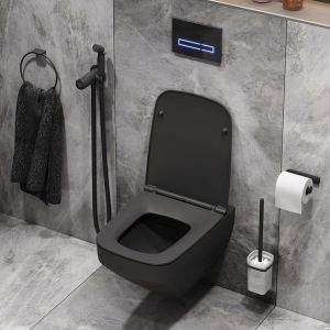 Комплект унитаза с инсталляцией  AM.PM  Inspire 2.0 CK50GG черный