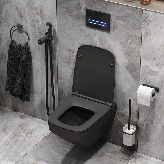 Комплект унитаза с инсталляцией  AM.PM  Inspire 2.0 CK50GG черный